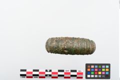 Foto von Bronzemelonenarmreif (NHMW-PRAE-024241)